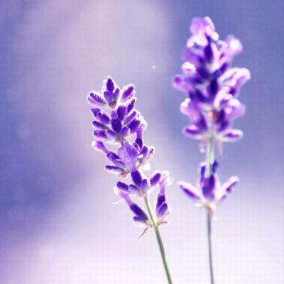 beat365平台下载手机版